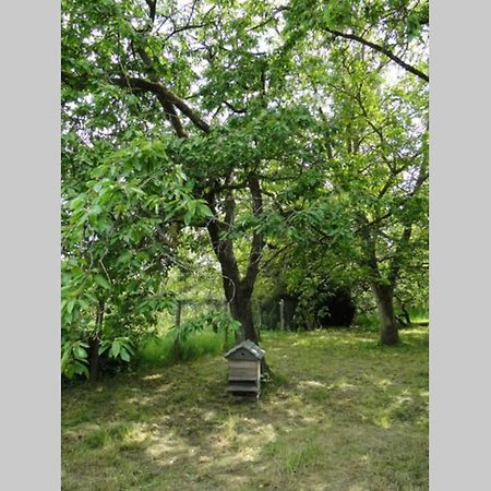 Miller'S Farm. Cottage On The Auhtie For 2 Hem-Hardinval Екстер'єр фото