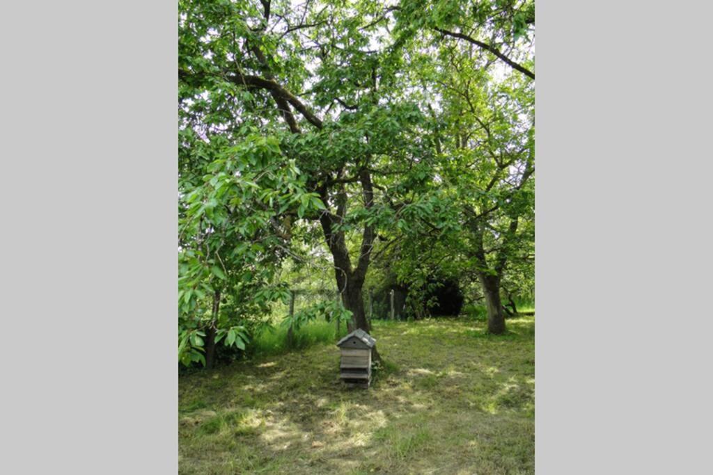 Miller'S Farm. Cottage On The Auhtie For 2 Hem-Hardinval Екстер'єр фото